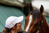 Kentucky Derby winner and Preakness morning line favorite Mystik Dan gets some advice from co-owner Sharilyn Gasaway in the barn area Friday May 17, 2024 at Pimlico Race Course in Baltimore, MD.    Photo by Skip Dickstein