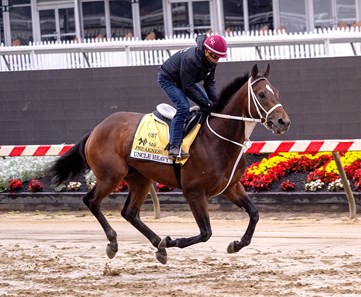 Uncle Heavy - Horse Profile - BloodHorse