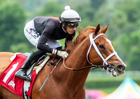 The Chosen Vron is 4-for-4 in 2024, including a win in the Thor's Echo Stakes at Santa Anita Park