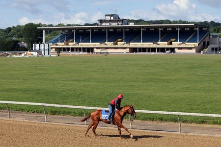 2024 Fasig-Tipton Midlantic May 2-Year-Olds in Training Sale