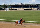  Hip 273, Scenics, 2024 Fasig-Tipton Midlantic  May 2 Year Olds in Training Sale