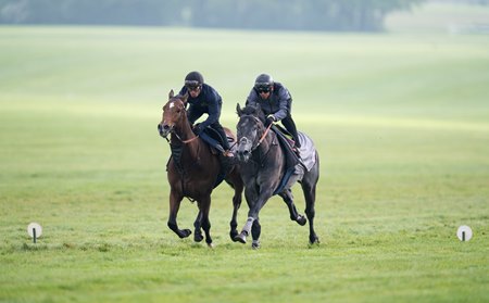 King of Steel (right) exercises May 4 at Newmarket