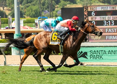 Planetario wins the San Juan Capistrano Stakes at Santa Anita Park