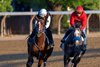 Mystik Dan (left) works with exercise rider Danny Ramsey on the Oklahoma Training Track Saturday June 1, 2024 in Saratoga Springs, N.Y.  in preparation for the 2024 Belmont Stakes which will be held at the historic Saratoga Race Course Saturday June 8th for the first time in history  Photo by Skip Dickstein