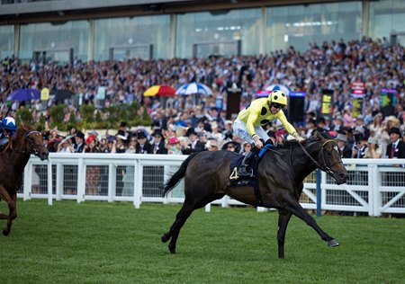 Inisherin dashes to victory in the 2024 Commonwealth Cup at Ascot Racecourse 