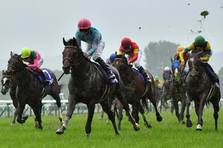 Blow the Horn wins the Takarazuka Kinen at Kyoto Racecourse