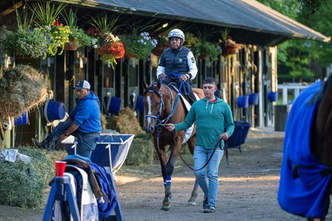 Mystik Dan Entered in Belmont Stakes