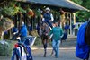 2024 Kentucky Derby winner Mystik Dan returns to the barn after working on the Oklahoma Training Track Saturday June 1, 2024 in Saratoga Springs, N.Y.  in preparation for the 2024 Belmont Stakes which will be held at the historic Saratoga Race Course Saturday June 8th for the first time in history  Photo by Skip Dickstein