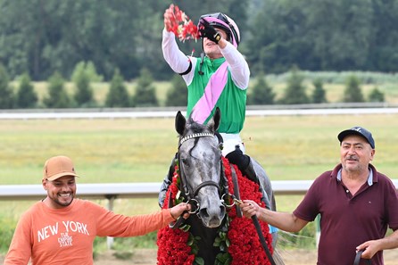 Batten Down - Horse Profile - BloodHorse