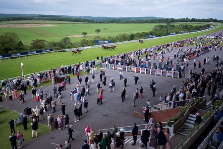 Racegoers at Goodwood Racecourse