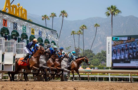 Santa Anita Park Completes Near Perfect Safety Year