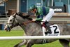 Jockey Declan Cannon guides Implicated to victory in the first $175,000 Nassau Stakes at Woodbine over the E.P. Taylor turf course. Implicated is trained by Brendan Walsh. Woodbine/Michael Burns Photo