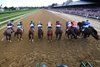 Dornoch wins the 2024 Belmont Stakes at Saratoga Race Course