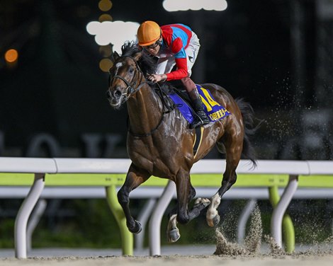 Ramjet Wins Tokyo Derby, Connections Eye World Travel