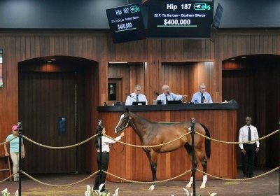 0K Tiz the Law Filly Tops First Session at OBS June