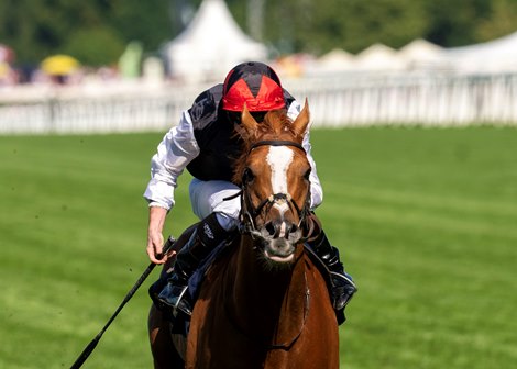 Kyprios Reigns King in Gold Cup at Royal Ascot