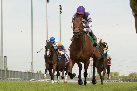 Play the Music wins the Royal North Stakes at Woodbine