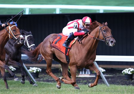 Tax Implications wins the Eatontown Stakes at Monmouth Park
