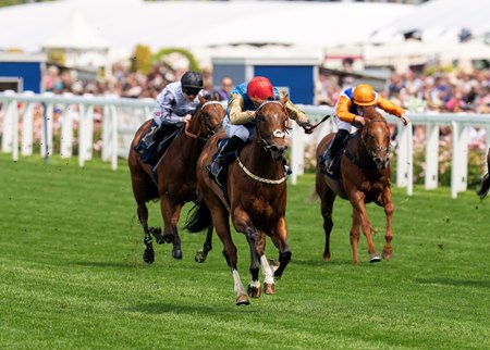 Shareholder wins the Norfolk Stakes at Ascot Racecourse