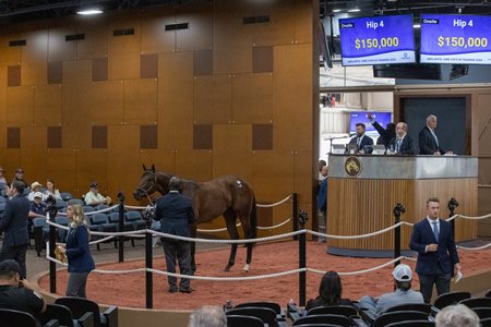 Hip 4, a colt by freshman sire Vekoma, sells for $150,000 at the Fasig-Tipton Midlantic June 2-Year-Olds in Training Sale in Timonium