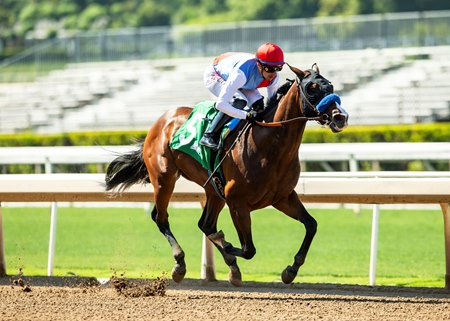 Nooni is all alone as she approaches the wire in front in her debut at Santa Anita Park