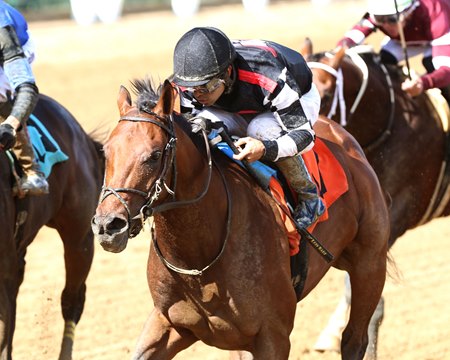 Conquering Cat breaks his maiden at Churchill Downs