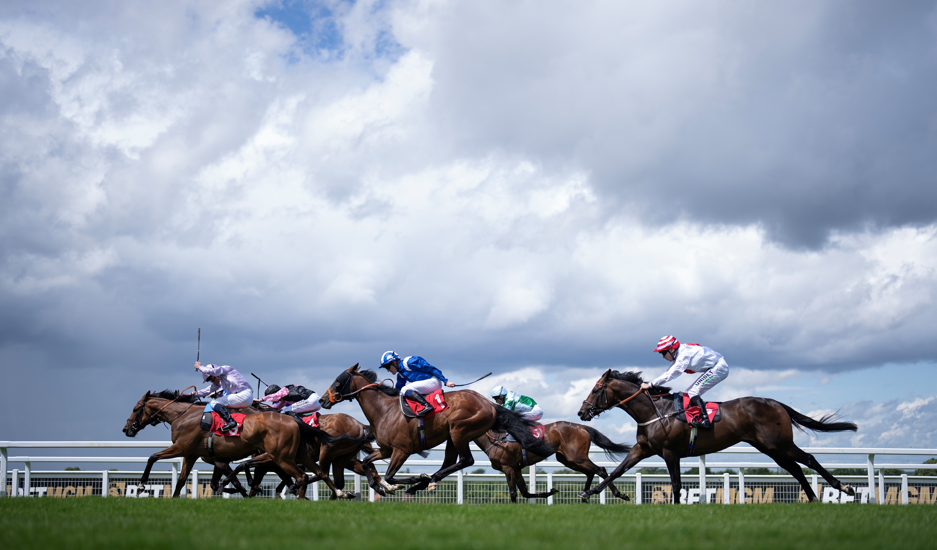 驚きの激安価格 Victoire Pisa BloodHorse - Japan for Cup World Dubai Wins 記念グッズ