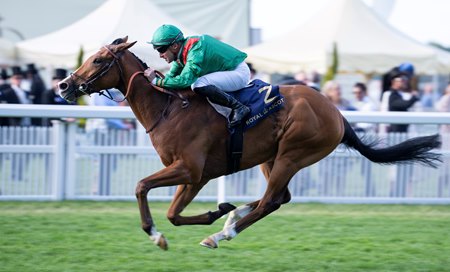 Calandagan wins the King Edward VII Stakes at Royal Ascot