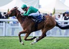 Calandagan (Stephane Pasquier) wins the King Edward VII Stakes
Ascot 21.6.24 Pic: Edward Whitaker