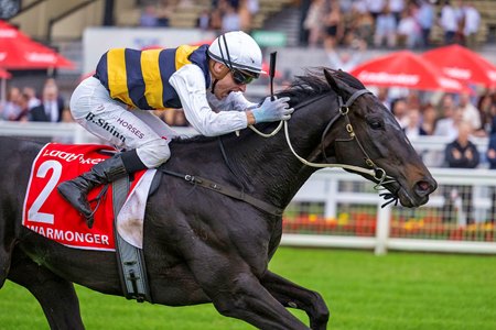 Warmonger wins the Queensland Derby at Eagle Farm