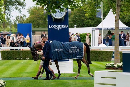 Sparkling Plenty after her victory in the Prix de Diane at Chantilly Racecourse