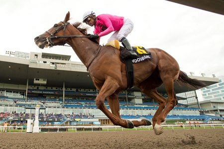 Paramount Prince wins the Dominion Day Stakes at Woodbine