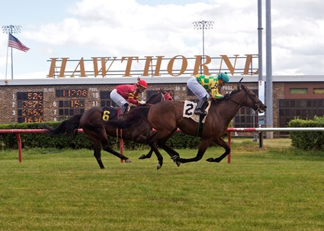 Former Vet Alleges Hawthorne Allowed Unsound Horses