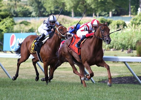 Tax Implications, shown winning the Eatontown, is one of four trained by Chad Brown in the Matriarch.