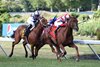 Tax Implications #7 with Flavien Prat riding won the $150,000 Grade III Eatontown Stakes at Monmouth Park Racetrack in Oceanport, NJ on Saturday June 15, 2024.  Photo By Melissa Torres/EQUI-PHOTO