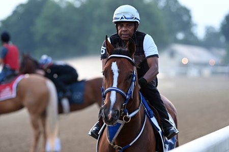 Mystik Dan at Saratoga Race Course