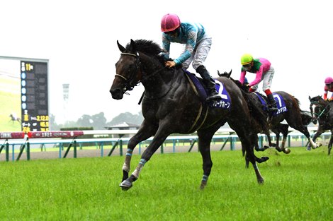 Blow the Horn Earns Breeders’ Cup Bid in Japan