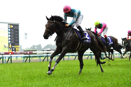 Blow the Horn wins the Takarazuka Kinen at Kyoto Racecourse