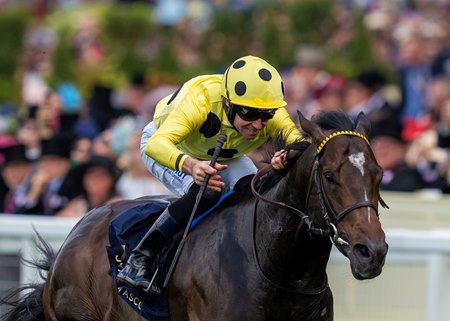 Inisherin wins the Commonwealth Cup at Ascot Racecourse