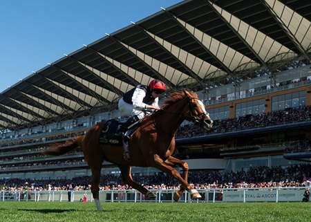 Kyprios wins the 2024 Gold Cup at Ascot Racecourse