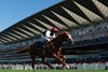 Kyprios and Ryan Moore win the G1 Gold Cup, Royal Ascot, Ascot, UK, June 20th, 2024, Mathea Kelley