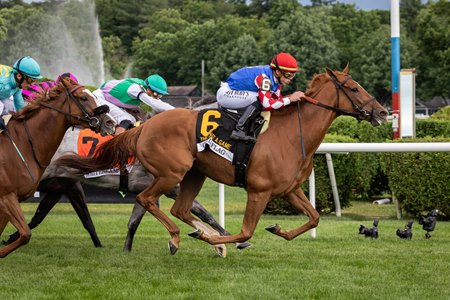 Chili Flag wins the Just a Game Stakes at Saratoga Race Course