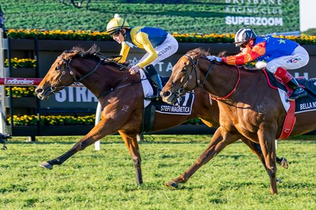 Stefi Magnetica wins the Stradbroke Handicap at Eagle Farm Racecourse