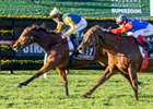  Stefi Magnetica wins the 2024 Stradbroke Handicap at Eagle Farm Racecourse