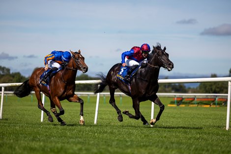 Los Angeles a Massive Presence in Irish Derby