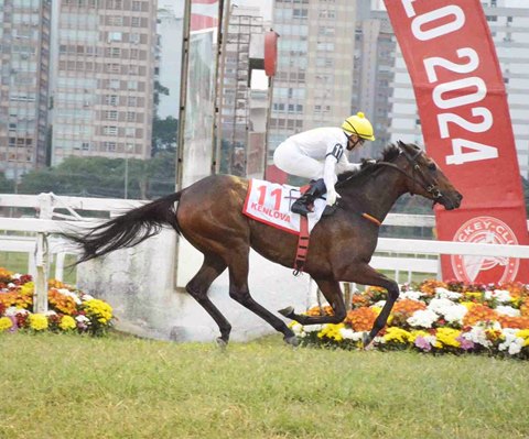 Goias Race Horse: Resultados da 11ª Reunião - Hipódromo da Lagoinha