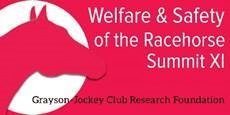 Agenda Out for Welfare, Safety of the Racehorse Summit