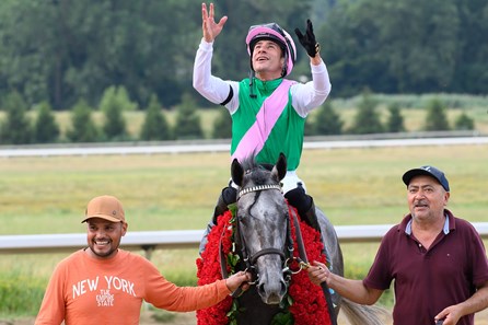Batten Down - Horse Profile - BloodHorse