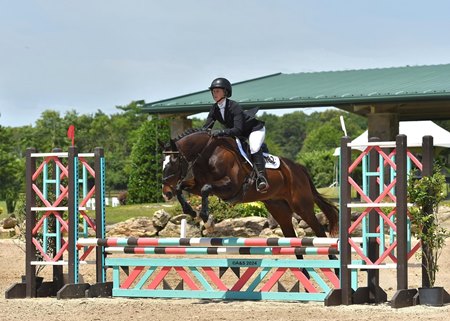 Diamond Bachelor, ridden by Alison Andrews, competes in the New Vocations All-Thoroughbred Charity Show