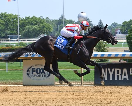 Unmatched Wisdom improves to 2-for-2 in an allowance race at Aqueduct Racetrack